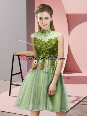 Extravagant Empire High-neck Sleeveless Tulle Knee Length Lace Up Appliques Court Dresses for Sweet 16