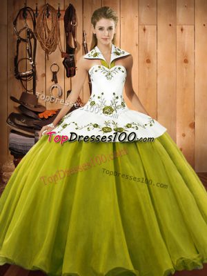 Traditional Olive Green Sleeveless Embroidery Floor Length 15th Birthday Dress
