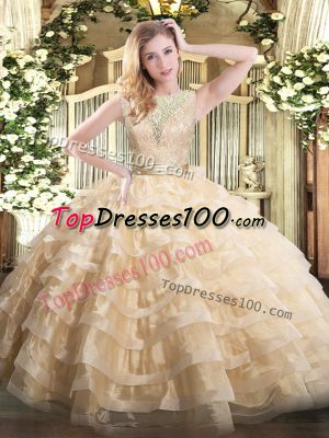 Popular Ball Gowns 15 Quinceanera Dress Champagne Scoop Organza Sleeveless Floor Length Backless