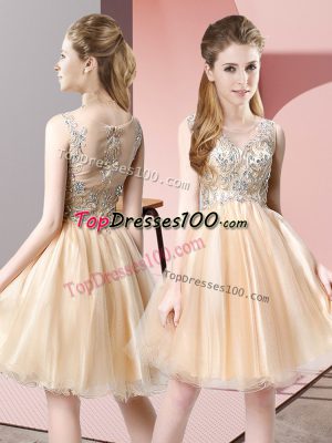 Vintage Scoop Sleeveless Zipper Prom Gown Champagne Tulle