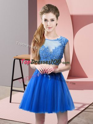 Pretty Blue Zipper Scoop Appliques Tulle Sleeveless