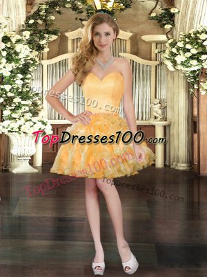 Modest Sleeveless Lace Up Mini Length Ruffles