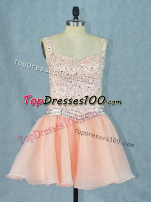 Modest Mini Length A-line Sleeveless Peach Evening Dress Lace Up