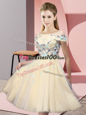 Chic Gold Lace Up Off The Shoulder Appliques Quinceanera Dama Dress Tulle Short Sleeves