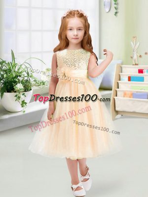 Simple Scoop Sleeveless Zipper Flower Girl Dress Champagne Organza