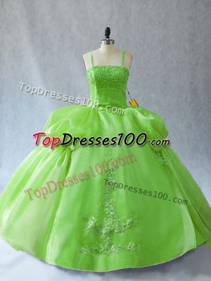 Appliques Sweet 16 Quinceanera Dress Lace Up Sleeveless Floor Length