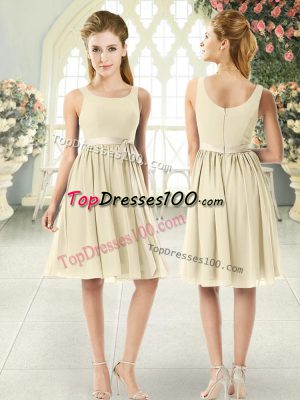 Excellent Scoop Sleeveless Zipper Dress for Prom Light Yellow Chiffon