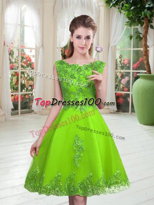 Sleeveless Tulle Lace Up Prom Gown for Prom and Party