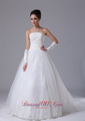 Bettendorf Iowa Lace Strapless Organza Chapel Train Ball Gown 2013 Wedding Dress