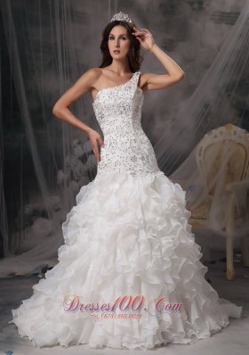 Luxurious A-line One Shoulder Wedding Dress Organza and Lace Beading Court Train