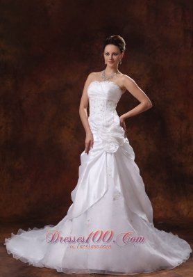 Canton Georgia 2013 Hand Made Flower and Appliques Wedding Dress With Chapel Train Taffeta and Organza