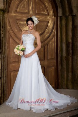 Customize A-line Strapless Wedding Dress Organza Embroidery Court Train