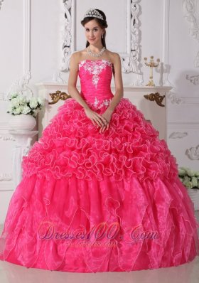 New Modest Hot Pink Quinceanera Dress Strapless Organza Embroidery with Beading Ball Gown