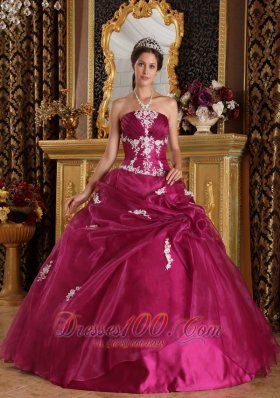 Popular Brand New Fuchsia Quinceanera Dress Strapless Organza and Satin Appliques Ball Gown