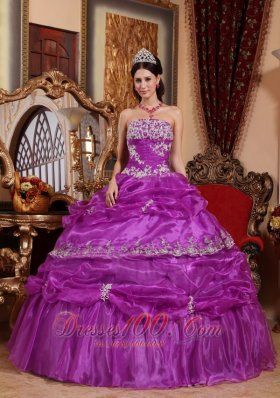 Fashionable Fuchsia Quinceanera Dress Strapless Organza Appliques Ball Gown Plus Size