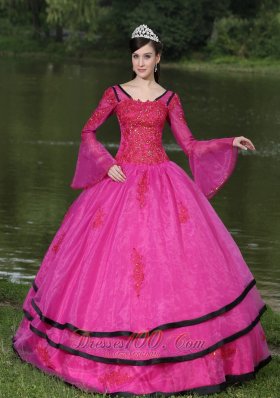 The Most Popular Long Sleeves Appliques Decorate Fushsia Quinceanera Dress With V-neck Pretty
