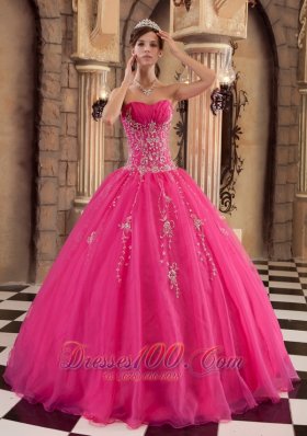 Exquisite Hot Pink Quinceanera Dress Organza Beading Ball Gown