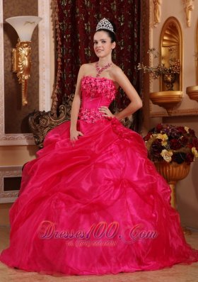 Puffy Cute Hot Pink Sweet 16 Dress Strapless Organza Appliques Ball Gown