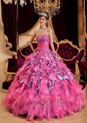 2013 Discount Hot Pink Quinceanera Dress Sweetheart Beading Leopard and Organza Ball Gown