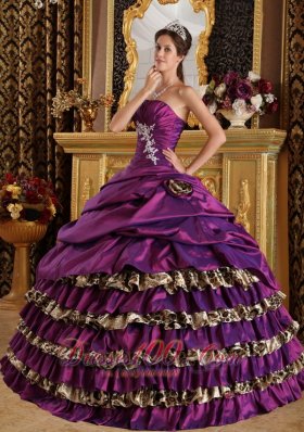 2013 Popular Purple Quinceanera Dress One Shoulder Taffeta and Leopard Appliques Ball Gown