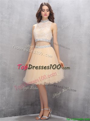 Champagne A-line Tulle High-neck Sleeveless Beading and Embroidery Knee Length Zipper Cocktail Dresses
