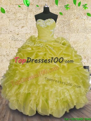 Gorgeous Organza Sleeveless Floor Length Vestidos de Quinceanera and Beading and Appliques and Ruffles and Ruching