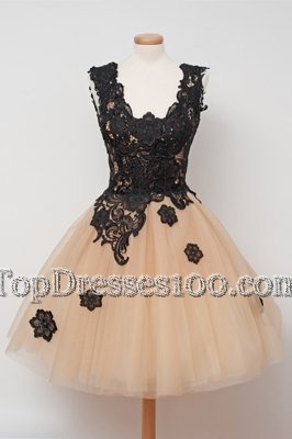 Decent Champagne Tulle Zipper Party Dress Sleeveless Knee Length Appliques