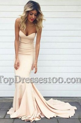 Mermaid Champagne Sleeveless Ruching Zipper Evening Dress