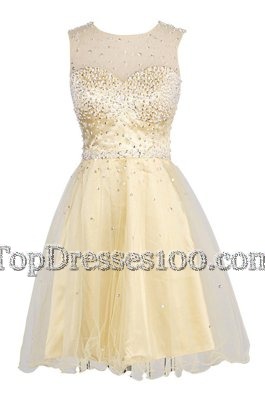 Spectacular Scoop Organza Sleeveless Knee Length Cocktail Dresses and Sequins