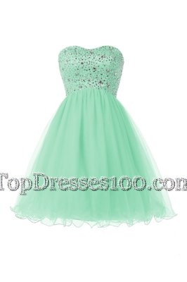Ball Gowns Club Wear Aqua Blue Sweetheart Tulle Sleeveless Floor Length Lace Up