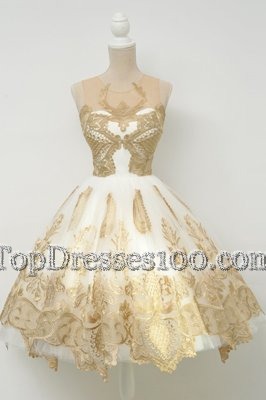 New Arrival Scoop Knee Length A-line Sleeveless Champagne Club Wear Zipper