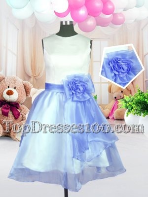 Trendy Ball Gowns Flower Girl Dresses Baby Blue Scoop Organza Sleeveless Knee Length Zipper