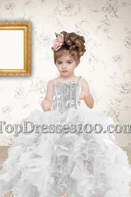 Organza Sleeveless Floor Length Party Dress for Toddlers and Beading and Ruffles and Sequins