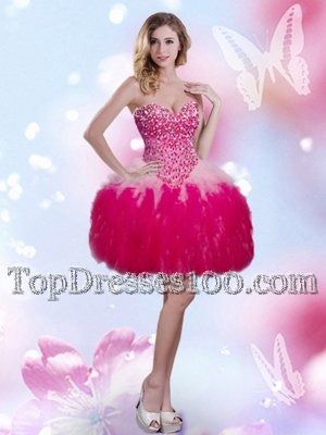 Traditional Sweetheart Sleeveless Lace Up Teens Party Dress Hot Pink Tulle