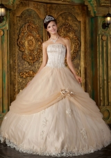 Champagne Ball Gown Strapless Floor-length Appliques Tulle Quinceanera Dress