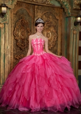 Gorgeous Ball Gown Strapless Floor-length Appliques Organza Hot Pink Quinceanera Dress