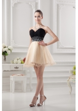 Sweetheart Organza Beading Organza Champagne Prom Dress