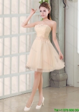 2015 Fall New Arrival Champagne A Line Strapless Appliques Dama Dress