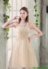 Beautiful A Line Appliques Dama Dress with One Shoulder for 2015 Summer