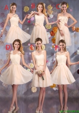 Delicate Champagne Dama Dresses with Hand Made Flowers