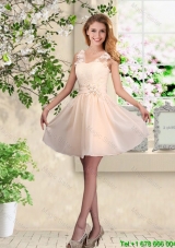 Suitable V Neck Appliques Bridesmaid Dresses in Champagne