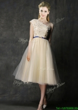 Elegant One Shoulder Sashes and Appliques Prom Dresses  in Champagne