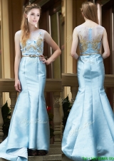 Elegant Mermaid Applique Brush Train Mother Dresses in Light Blue