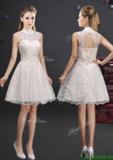 Luxurious Applique and Laced Champagne Dama Dress with High Neck