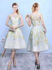 Multi-color Organza Zipper Wedding Party Dress Sleeveless Knee Length Embroidery