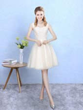 Champagne Tulle Lace Up Square Sleeveless Knee Length Wedding Guest Dresses Lace