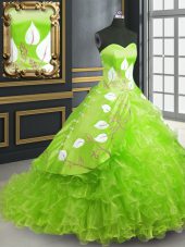 Flirting Quinceanera Gowns Organza Brush Train Sleeveless Embroidery