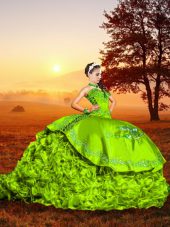 Flare Sleeveless Organza Brush Train Lace Up Sweet 16 Quinceanera Dress in with Embroidery and Ruffles