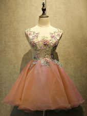 Pretty Rust Red Sleeveless Mini Length Embroidery Lace Up Prom Gown