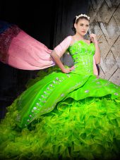 On Sale Ball Gowns Organza Sweetheart Sleeveless Embroidery and Ruffles With Train Lace Up Ball Gown Prom Dress Brush Train